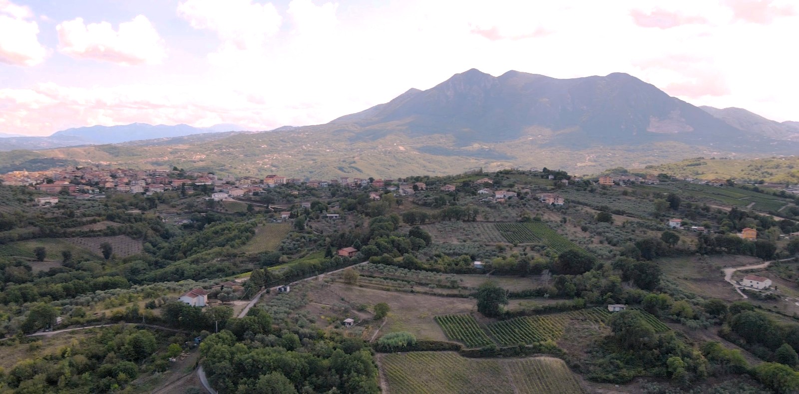 Contrada San Nicola